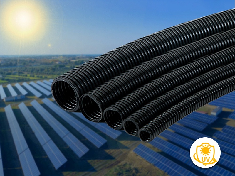 250412國內文章封面-1