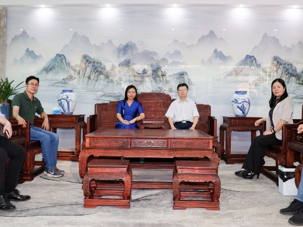 材通：廣東建材協會常務副會長陳環一行蒞臨參觀指導，共謀行業發展新藍圖